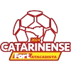 Divisi 1 Campeonato Catarinense Brasil